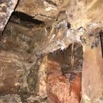 Dy rot attacking timbers in a basement Dy rot attacking timbers in a basement