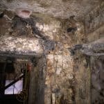 Dry rot infested basement Dry rot infested basement