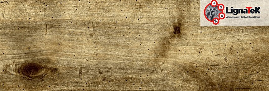 LignaTek Commercial Woodworm and Rot Solutions