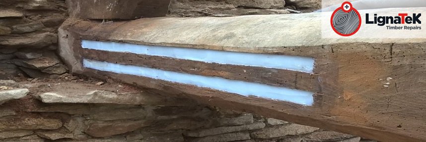 LignaTek Timber Repairs From Timberwise