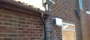 Property Maintenance