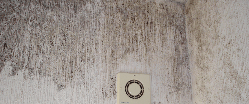 Wall with black mould growing on the wall