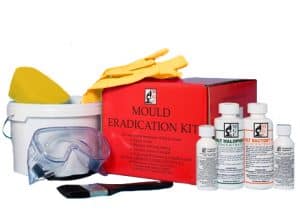 Mould removal kit