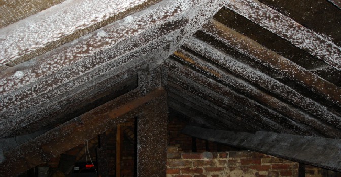 Mouldy timbers is a roof space caused by poor ventilation and condensation