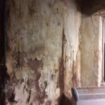 Closeup of wall showing damage caused by damp