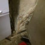 Closeup of a wall showing signs of dampness