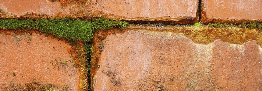 Penetrating damp header image