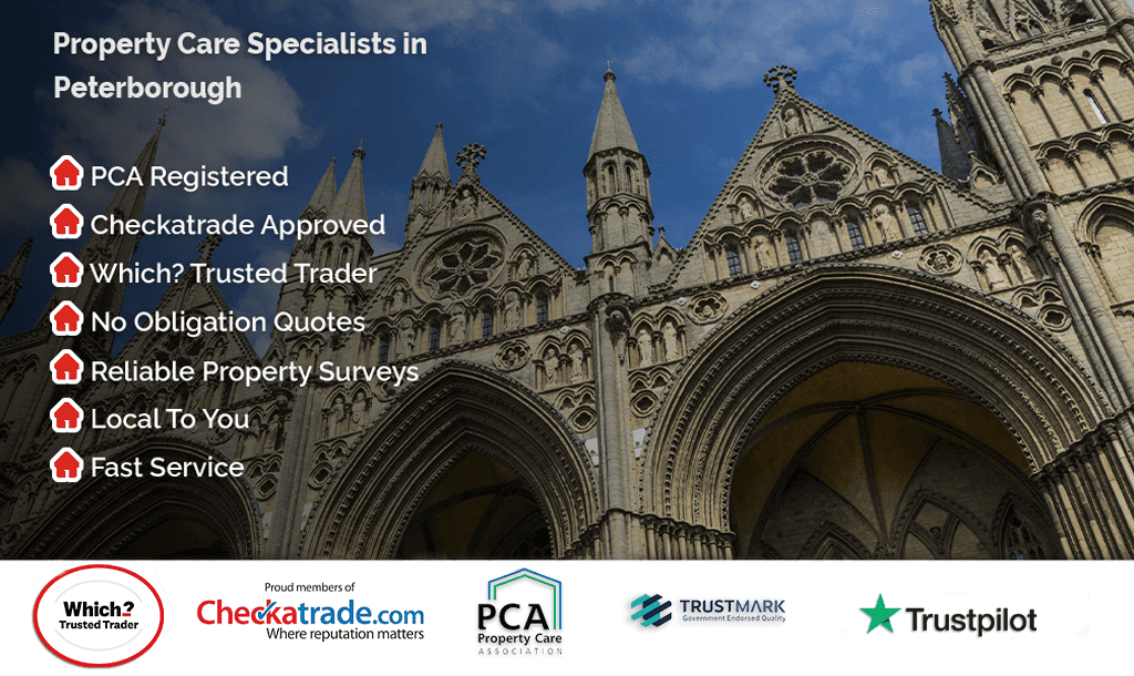 Header image for Peterborough location page