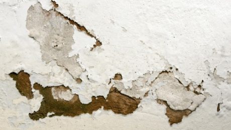 Plaster flaking and peeling from damp in walls