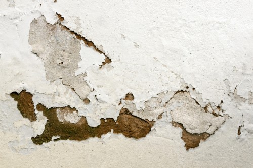 Plaster flaking and peeling from damp in walls