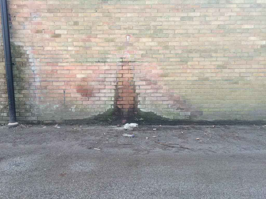 Closeup of rising damp appearing on the exterior wall of a property