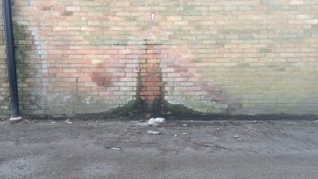 Closeup of rising damp appearing on the exterior wall of a property