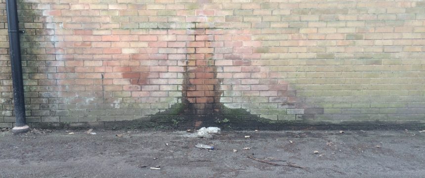 Closeup of rising damp appearing on the exterior wall of a property