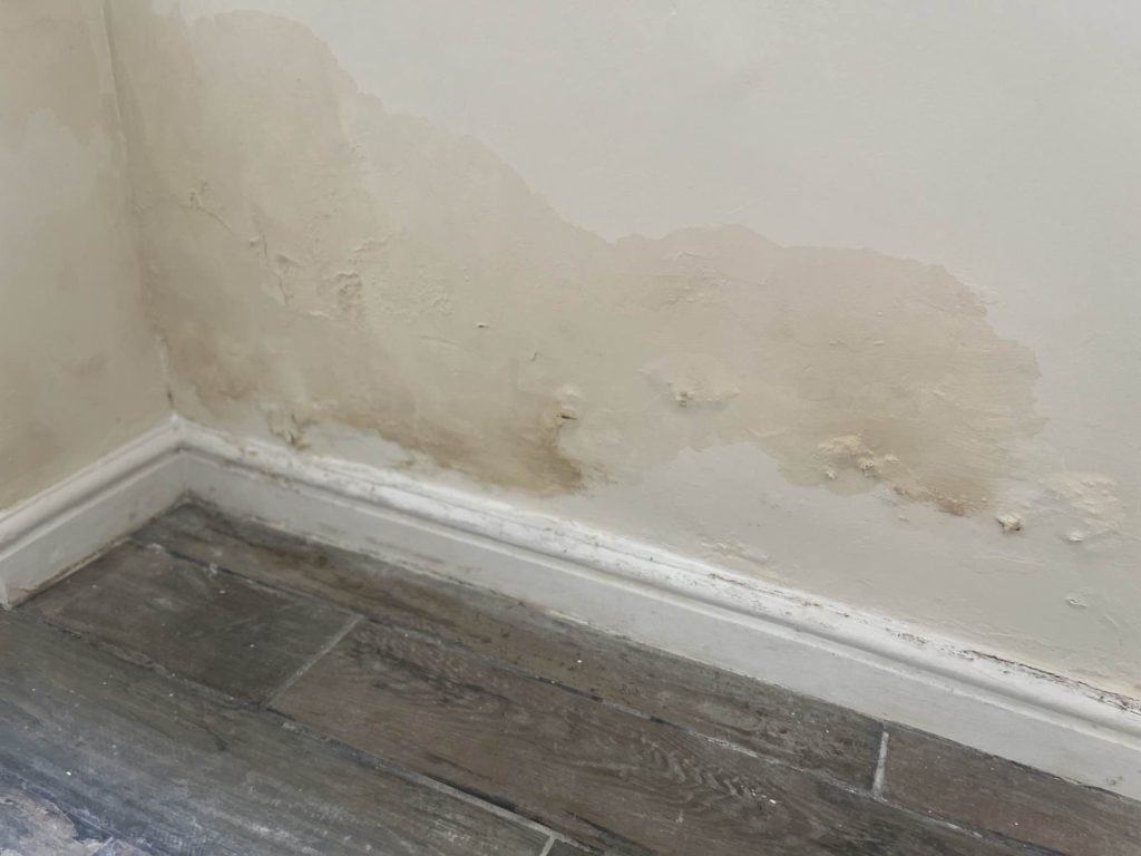 Rising damp above skirting boards in a property