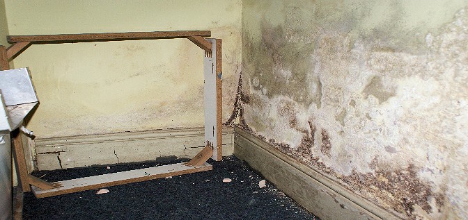 Rising damp on walls