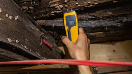 Surveyor testing for rotten floorboards