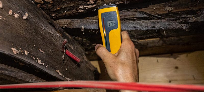 Surveyor testing for rotten floorboards