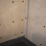 Membrane applied to a wall