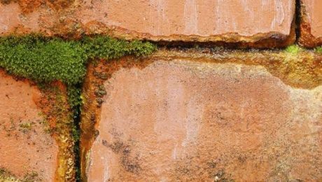 Closeup of signs of penetrating damp and mould on exterior brickwork of house