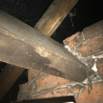 Closeup of damaged timbers in a property