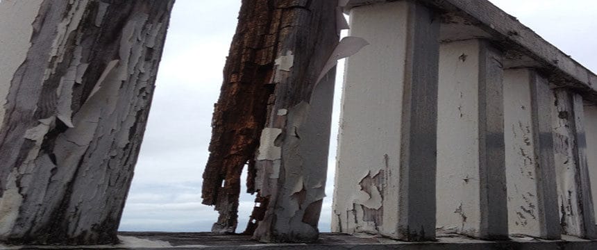 Damaged timbers in need of structural repairs