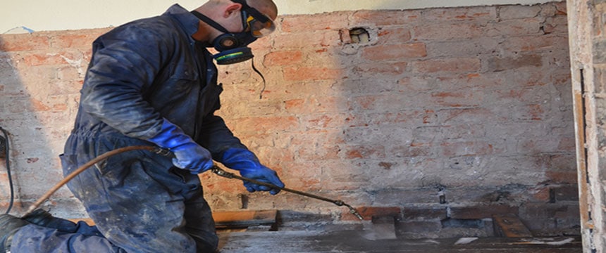 Technician applying woodworm treatment