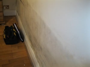 Tide Mark Rising Damp