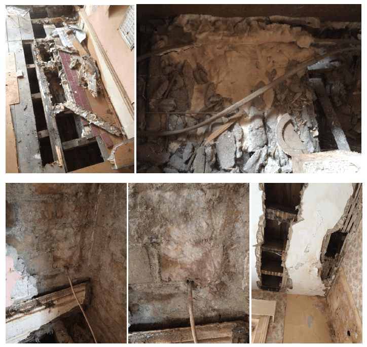 Various pictures of damage to timber in the property Collage of rot damage to timber in a property