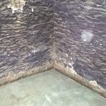 Before Cavity Drain Membrane Installation Basement Waterproofing