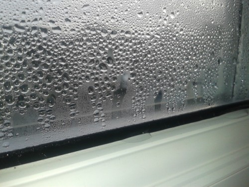 Water droplets on window