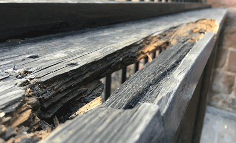 Closeup of decayed timber beam from wet rot damage