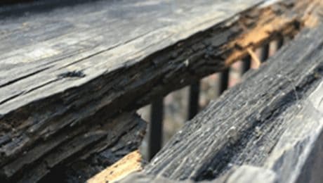 Closeup of wet rot damaged timber beams