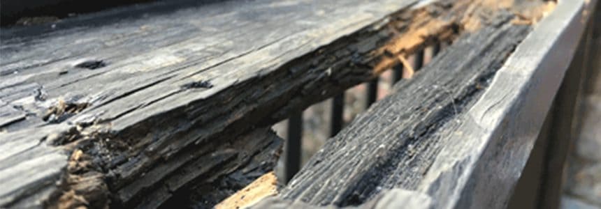 Closeup of wet rot damaged timber beams