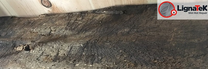 Wet rot damage on timber beam