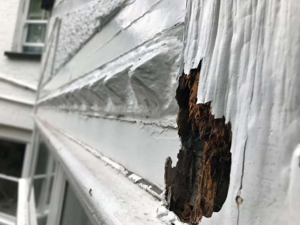 Closeup of exposed wet rot damage to exterior of property
