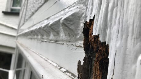 Closeup of exposed wet rot damage to exterior of property