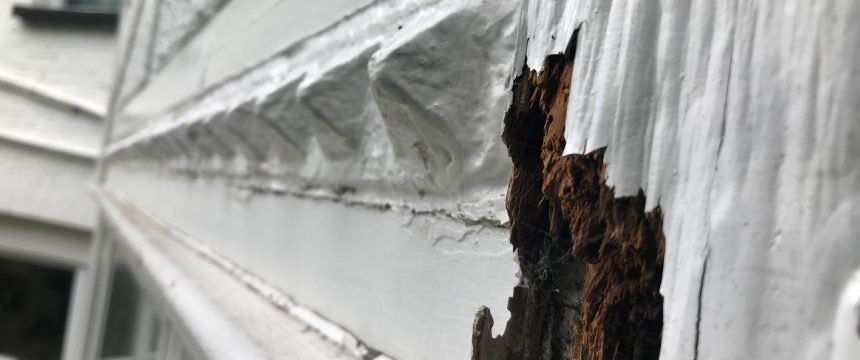 Closeup of exposed wet rot damage to exterior of property