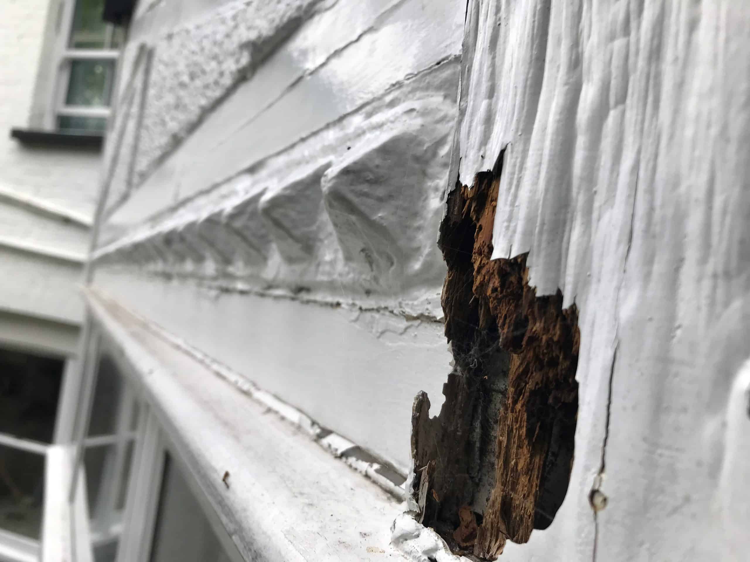 Closeup of exposed wet rot damage to exterior of property