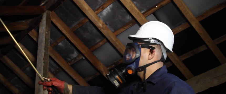 A technician in a boiler suit, hardhat and gas mask applying woodworm spray to timbers in loft