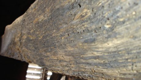 Woodworm damage to a timber beam