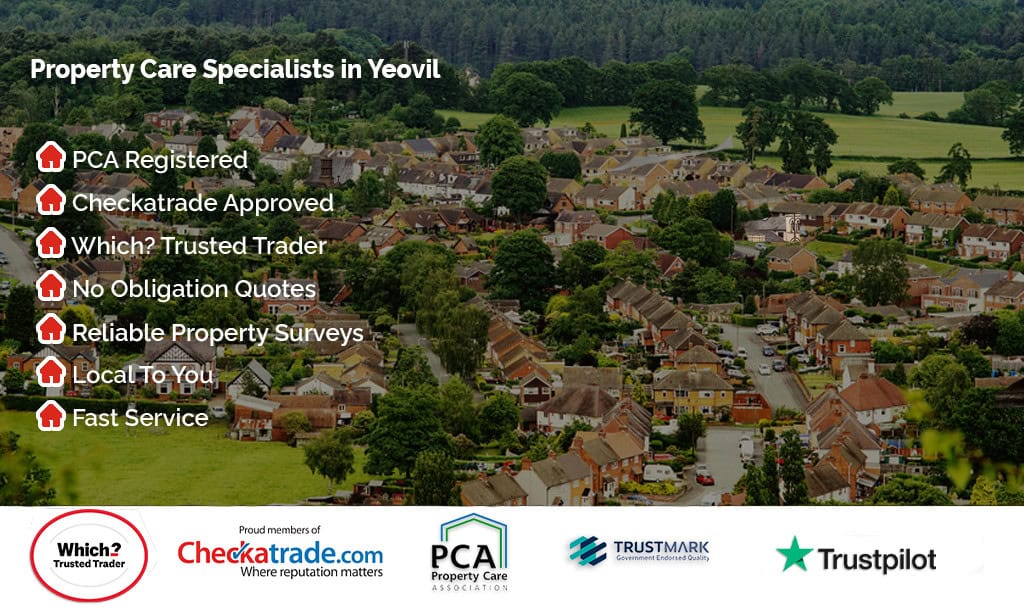 Header image for Dorset location page