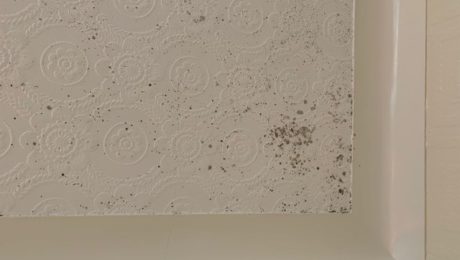 Early signs of black mould forming on bathroom wall
