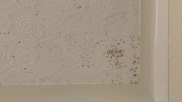 Early signs of black mould forming on bathroom wall