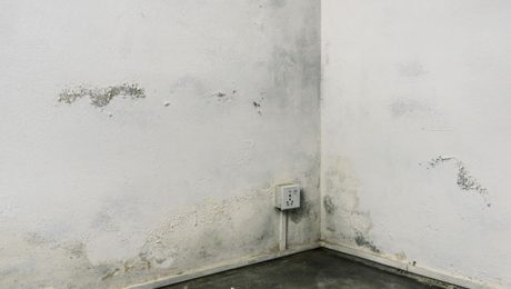 Evidence of cold and damp on internal wall in house