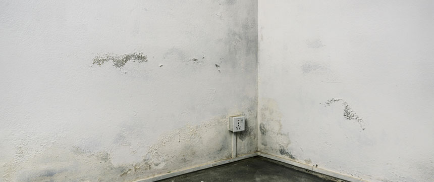 Evidence of cold and damp on internal wall in house