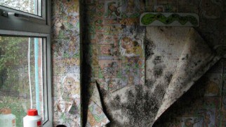 condensation causing peeling wallpaper