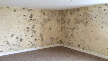 Condensation mould growing on interior walls in house