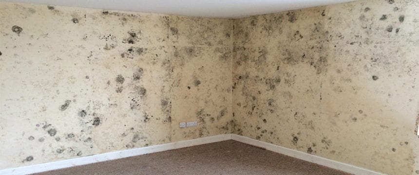 Condensation mould growing on interior walls in house