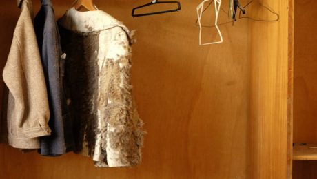 Evidence of damp found in wardrobe in house