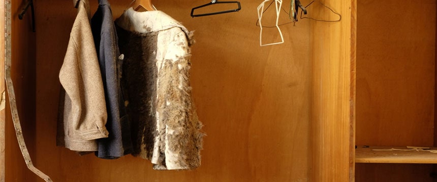 Evidence of damp found in wardrobe in house